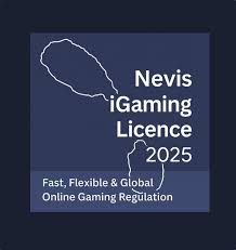 nevis gaming license application process